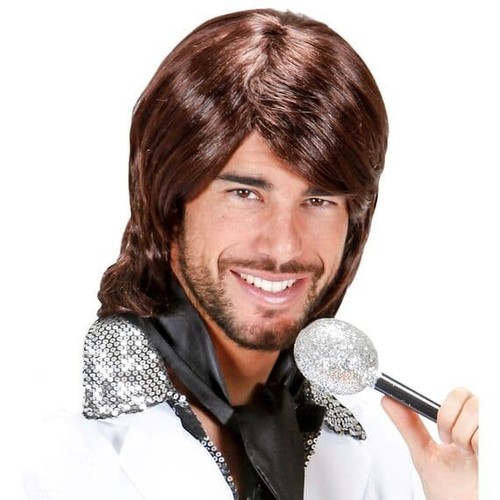 Adult 1970s pop - adult, wig