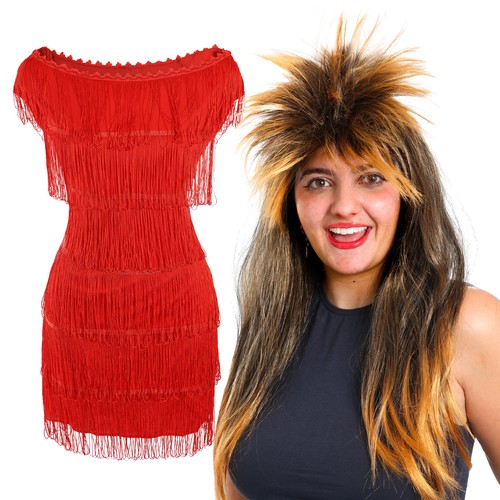 Tina turner singer - tina,