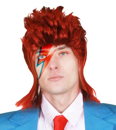 1970 glam rock wig - 1970's,