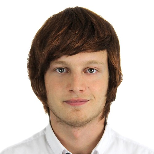 Mens brown wig adult - wig,